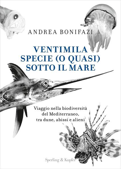 Ventimila specie (o quasi) sotto il mare. Viaggio nella biodiversità del Mediterraneo, tra dune, abissi e alieni - Andrea Bonifazi - copertina
