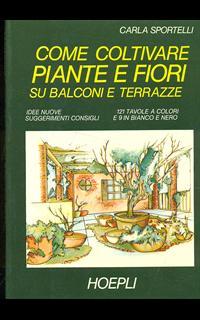 Come coltivare piante e fiori su balconi e terrazze