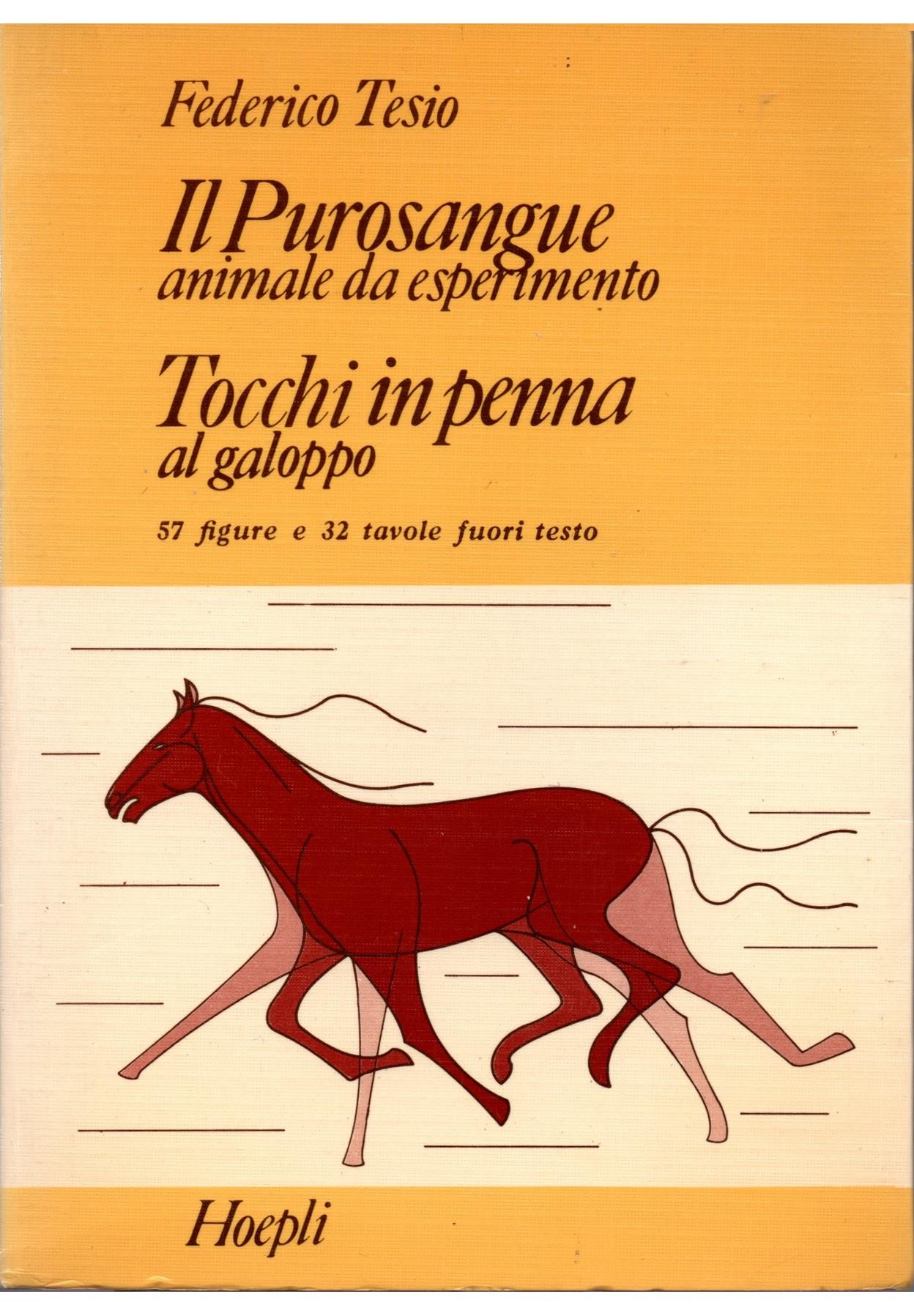 Libreria Tara