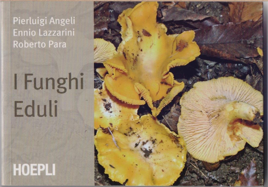I funghi eduli