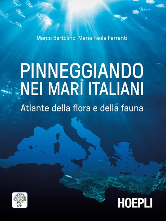 Pinneggiando nei mari italiani. Atlante della flora e della fauna - Marco Bertolino,Maria Paola Ferranti - copertina