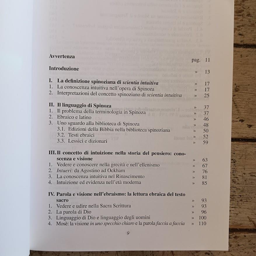 Visione e parola. Un'interpretazione del concetto spinoziano di scientia intuiva. Tra finito e infinito