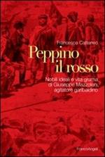 Peppino il Rosso. Nobili ideali e vita grama di Giuseppe Mazzoleni, agitatore garibaldino