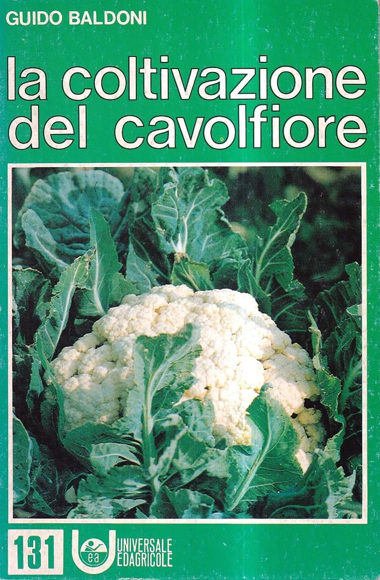La coltivazione del cavolfiore