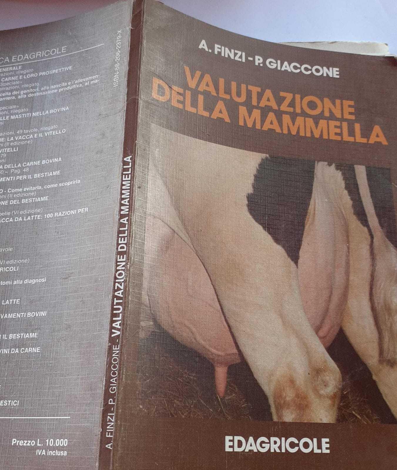 Valutazione della mammella