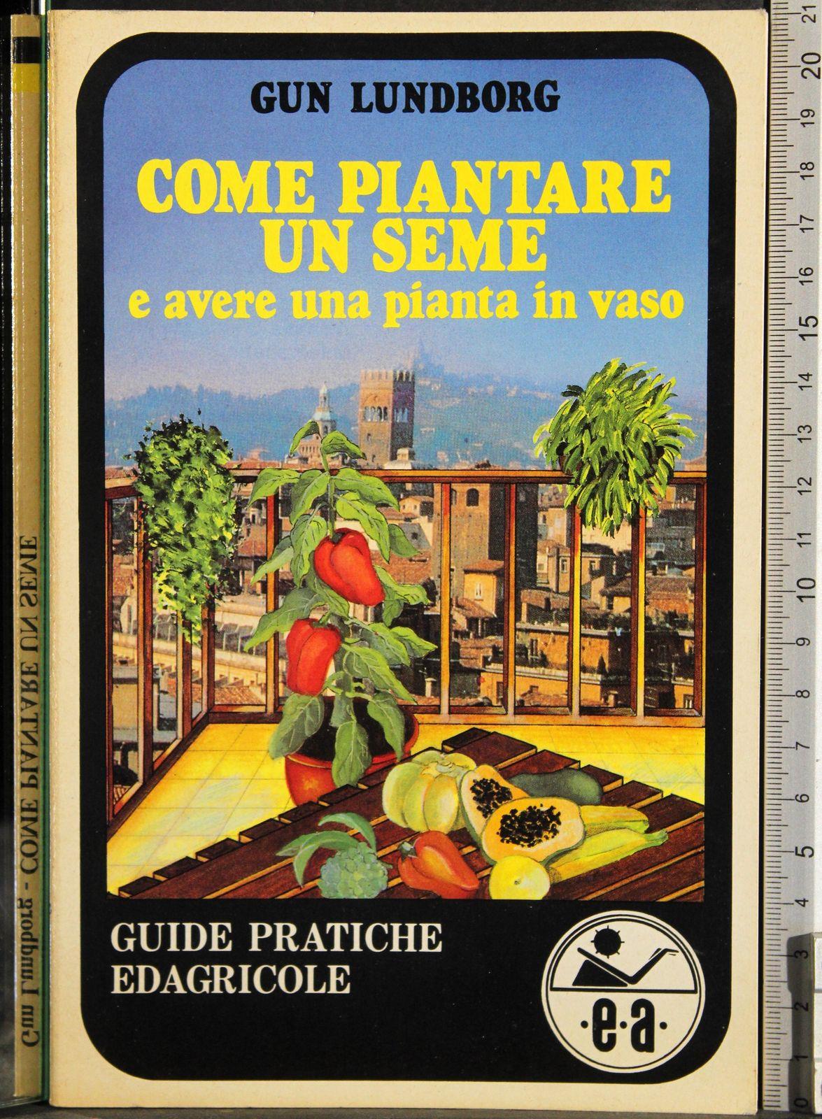 Come piantare un seme e avere una pianta in vaso