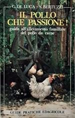 Il pollo che passione! Guida all'allevamento familiare del pollo da carne