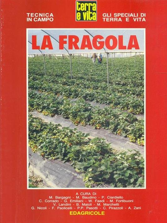 La fragola - 2