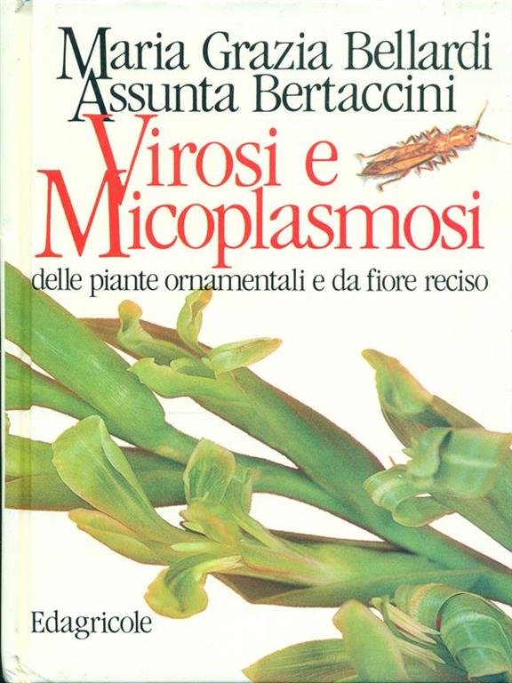 Firenze Libri