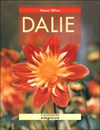 Dalie - Vanni Oliva - copertina
