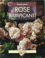 Rose rampicanti