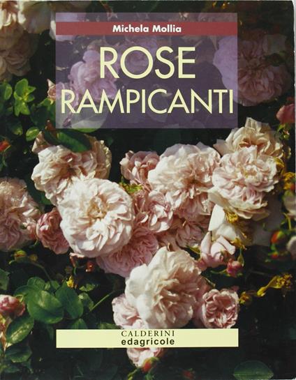 Rose rampicanti - Michela Mollia - copertina
