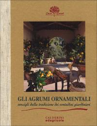 Gli agrumi ornamentali. Consigli dalla tradizione dei contadini giardinieri - Giorgio Tintori,Sergio Tintori - copertina