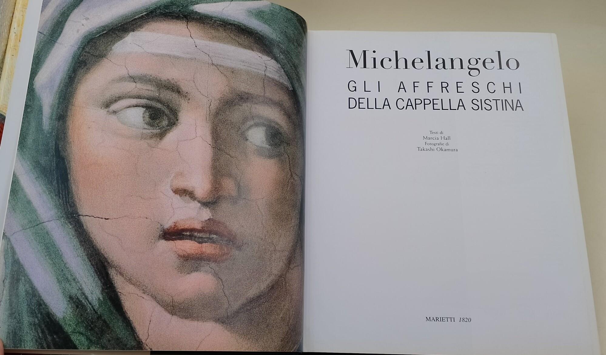 Michelangelo. Gli affreschi della Cappella Sistina. Ediz. illustrata