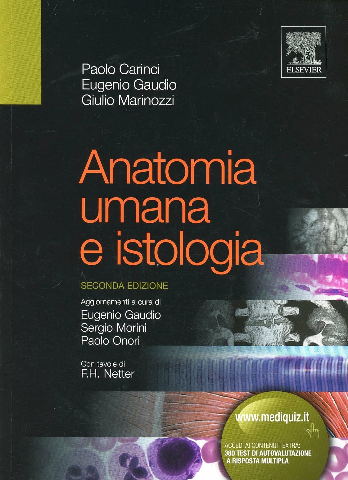 ibs
