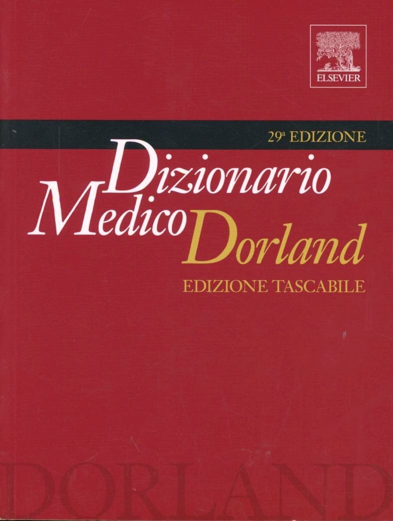 Libreria Imagine's Book