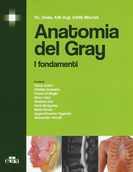 Anatomia del Gray. I fondamenti - Richard L. Drake,A. Wayne Vogl,Adam W. Mitchell - copertina