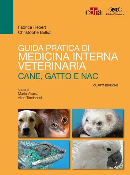 Guida pratica di medicina interna veterinaria. Cane, gatto e NAC - Fabrice Hébert,Christophe Bulliot - copertina