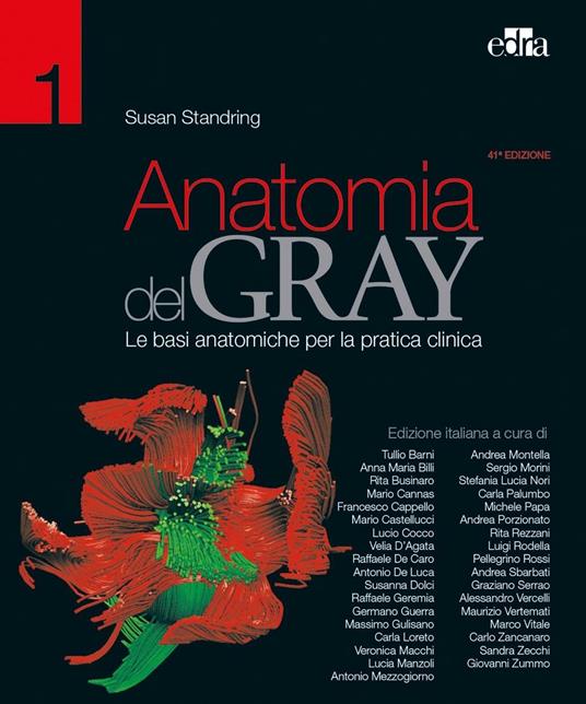 Anatomia del Gray. Le basi anatomiche per la pratica clinica. Vol. 1-2 - Susan Standring - copertina
