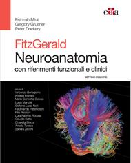 Fitzgerald. Neuroanatomia con riferimenti funzionali e clinici