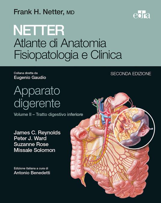 Netter. Atlante di anatomia fisiopatologia e clinica. Apparato digerente. Vol. 2: Tratto digestivo inferiore. - copertina