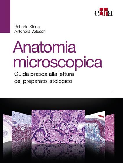 Anatomia  microscopica. Guida pratica alla lettura del preparato istologico - Roberta Sferra,Antonella Vetuschi - copertina