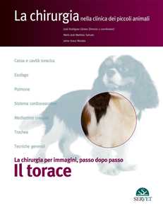 Libro Il torace. La chirurgia per immagini, passo dopo passo José Rodríguez Gómez M. José Martínez Sañudo Jaime Graus Morales