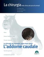L' addome caudale. La chirurgia per immagini, passo dopo passo