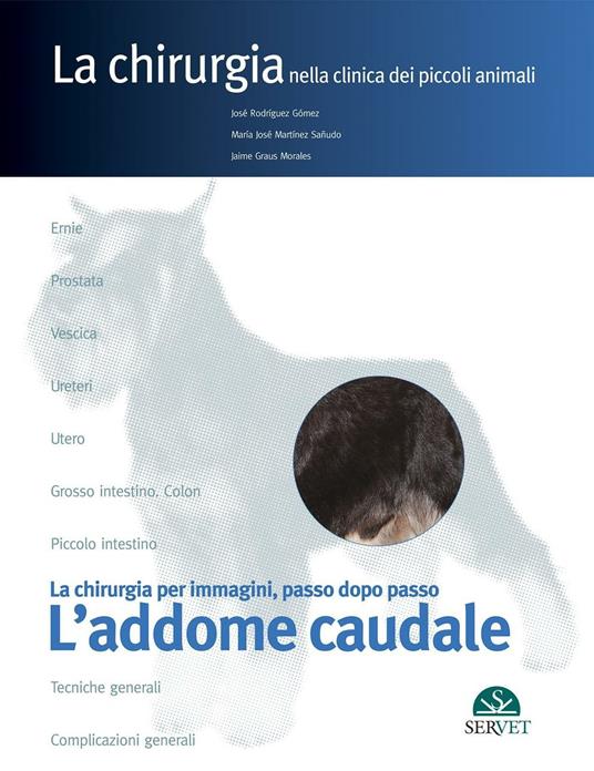 L' addome caudale. La chirurgia per immagini, passo dopo passo - José Rodríguez Gómez,M. José Martínez Sañudo,Jaime Graus Morales - copertina