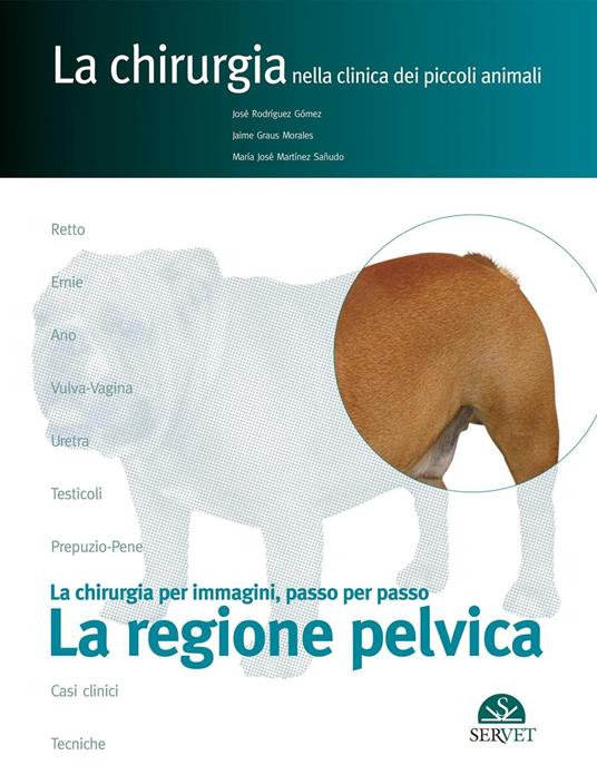 La regione pelvica. La chirurgia per immagini, passo dopo passo - José Rodríguez Gómez,M. José Martínez Sañudo,Jaime Graus Morales - copertina