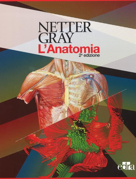 Netter Gray. L'anatomia. La chiarezza e il fascino dell'anatomia: Anatomia del Gray. Le basi anatomiche per la pratica clinica-Atlante di anatomia umana - Frank H. Netter,Susan Standring - copertina