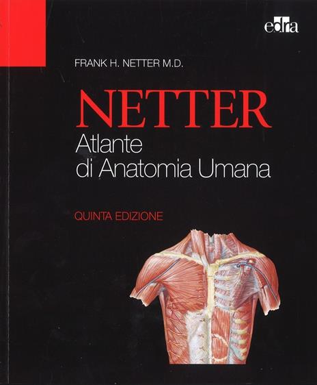 Netter Gray. L'anatomia. La chiarezza e il fascino dell'anatomia: Anatomia del Gray. Le basi anatomiche per la pratica clinica-Atlante di anatomia umana - Frank H. Netter,Susan Standring - 2