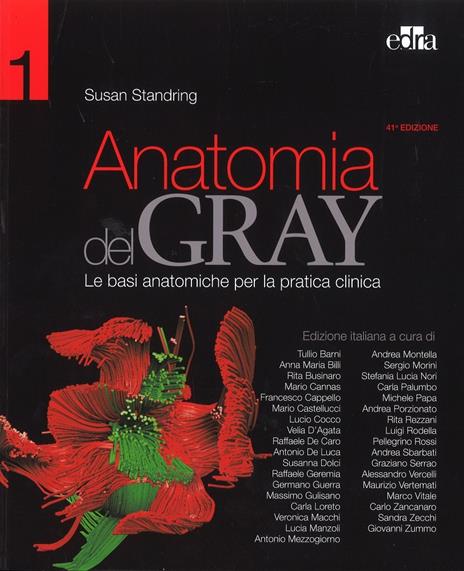 Netter Gray. L'anatomia. La chiarezza e il fascino dell'anatomia: Anatomia del Gray. Le basi anatomiche per la pratica clinica-Atlante di anatomia umana - Frank H. Netter,Susan Standring - 3