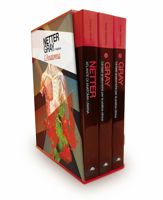 Netter Gray. L'anatomia. La chiarezza e il fascino dell'anatomia: Anatomia del Gray. Le basi anatomiche per la pratica clinica-Atlante di anatomia umana - Frank H. Netter,Susan Standring - 5
