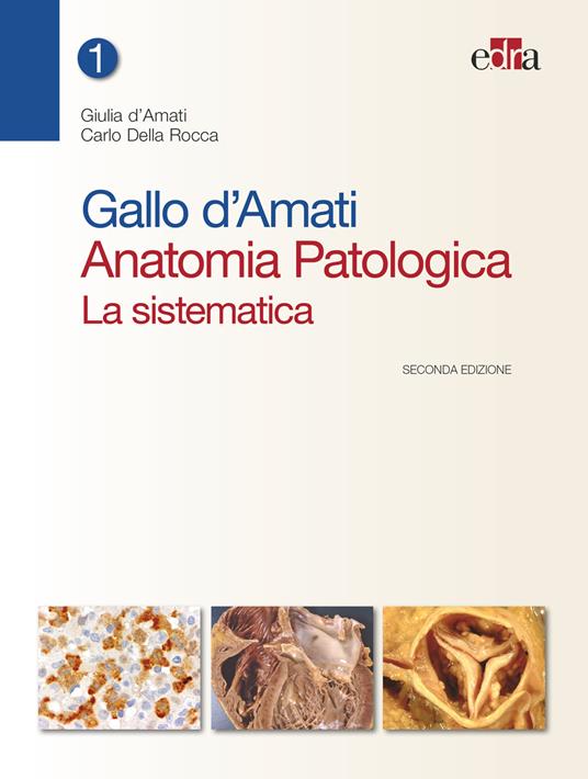 Gallo d'Amati. Anatomia patologica. La sistematica - Giulia D'Amati,Carlo Della Rocca - ebook