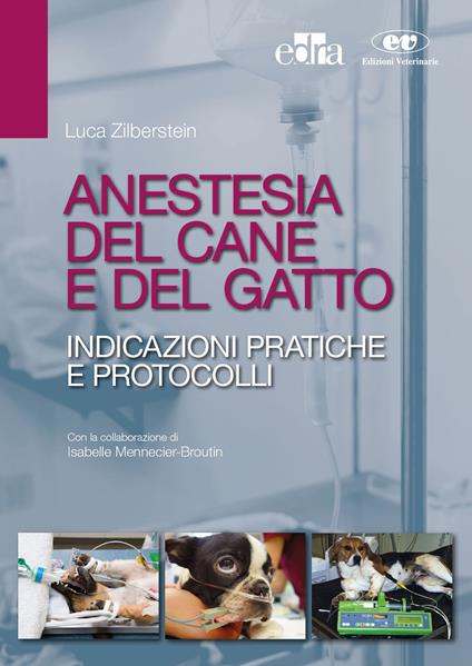 Anestesia del cane e del gatto. Indicazioni pratiche e protocolli - Luca Zilberstein,Isabelle Mennecier-Broutin - copertina