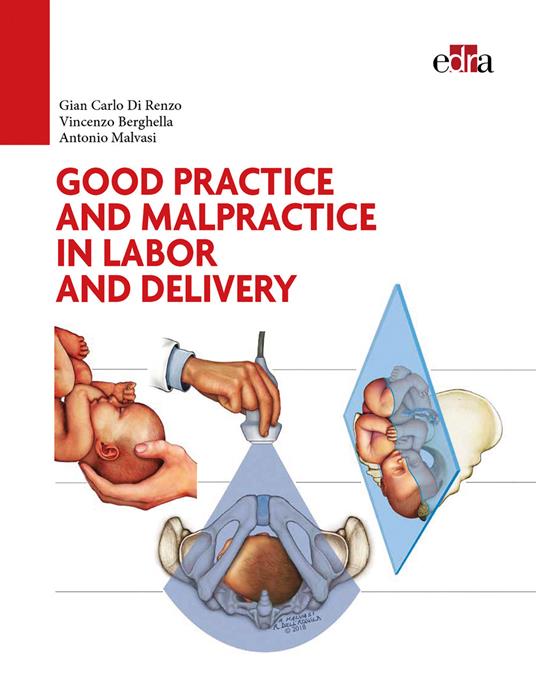 Good practice and malpractice in labor and delivery - G. Carlo Di Renzo,Vincenzo Berghella,Antonio Malvasi - copertina