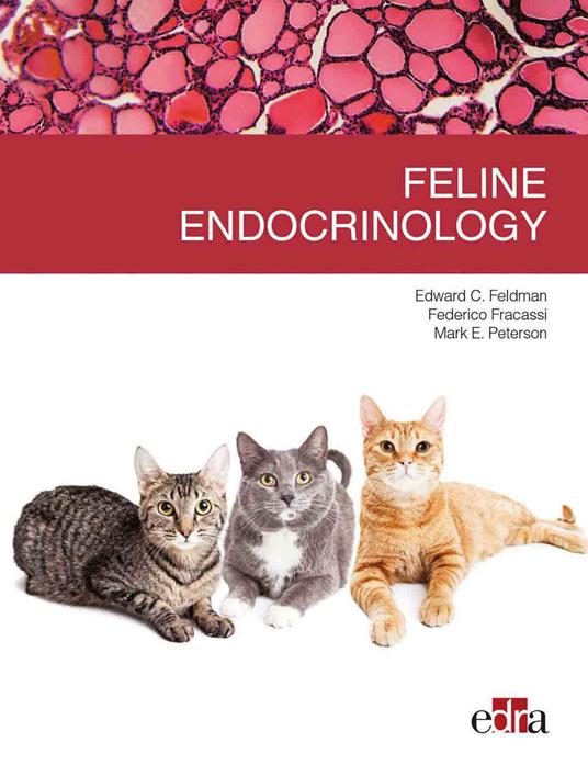 Feline endocrinology - Edward C. Feldman,Federico Fracassi,Mark E. Peterson - copertina