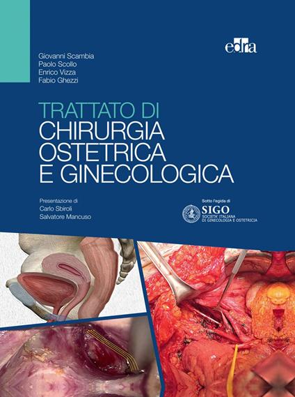 Trattato di chirurgia ostetrica e ginecologica - Fabio Ghezzi,Giovanni Scambia,Paolo Scollo,Enrico Vizza - ebook