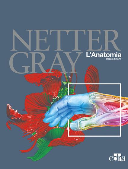Netter Gray. L'anatomia: Anatomia del Gray-Atlante di anatomia umana di Netter - Frank H. Netter,Susan Standring - copertina