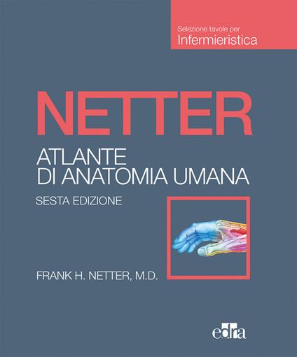 Netter. Atlante di anatomia umana. Scienze infermieristiche - Frank H. Netter - copertina