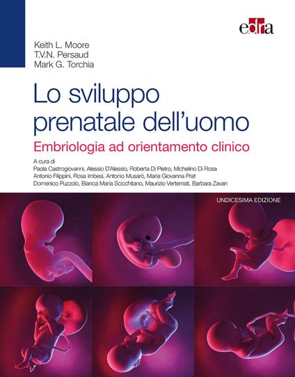 Lo sviluppo prenatale dell'uomo. Embriologia ad orientamento clinico - Keith L. Moore,T. V. Persaud,Mark G. Torchia - copertina