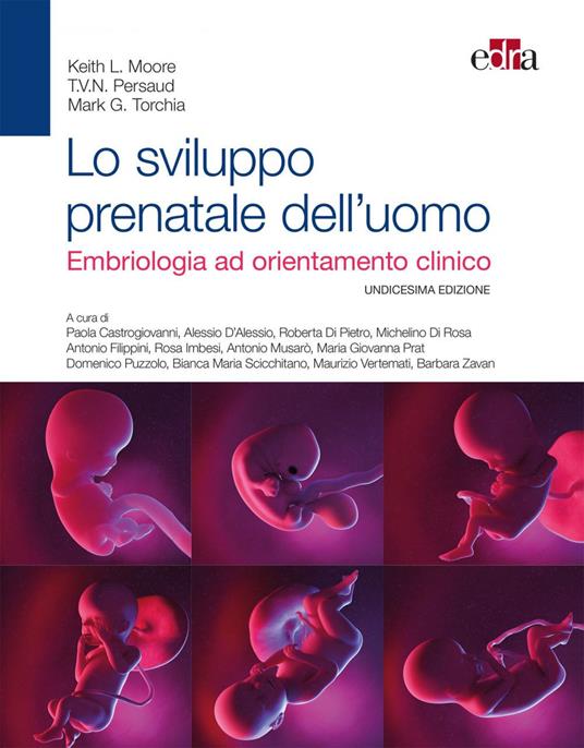 Lo sviluppo prenatale dell'uomo. Embriologia ad orientamento clinico - Keith L. Moore,T. V. Persaud,Mark G. Torchia - ebook