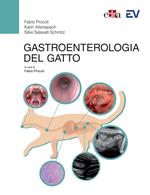 Gastroenterologia del gatto