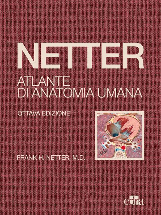 Netter. Atlante di anatomia umana - Frank H. Netter - ebook