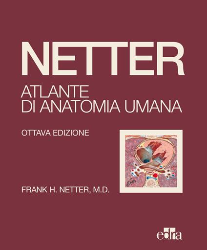 Netter. Atlante di anatomia umana - Frank H. Netter - copertina