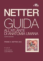 Netter. Guida all'atlante di anatomia umana