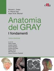 Anatomia del Gray. I fondamenti