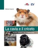 Nome prodotto