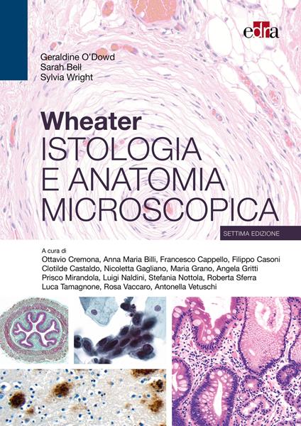 Wheater. Istologia e anatomia microscopica - Geraldine O'Dowd,Sarah Bell,Sylvia Wright - copertina